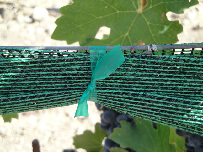 Shade Cloth in Closed Position, Held by Tie Tape