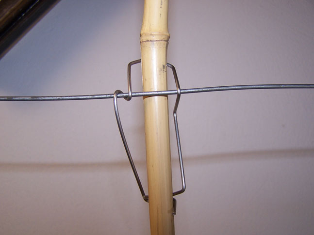 Bamboo Clip for Olive Trellis – Front View