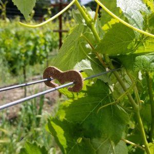 eco_cli_large_20200520_1-adobe