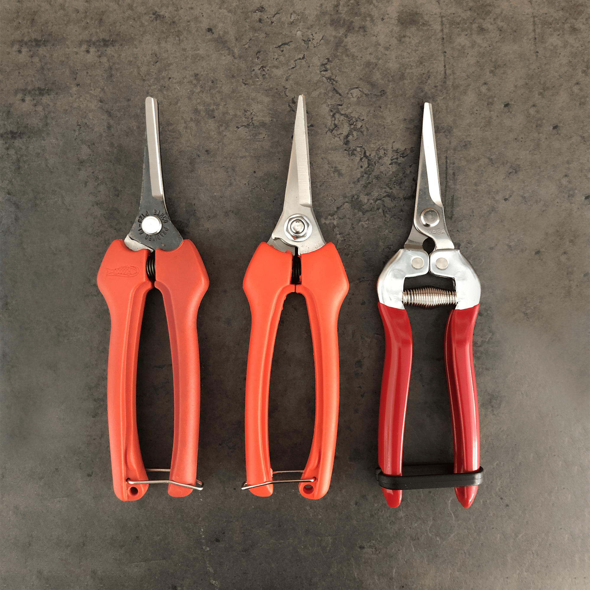 Thinning Shears