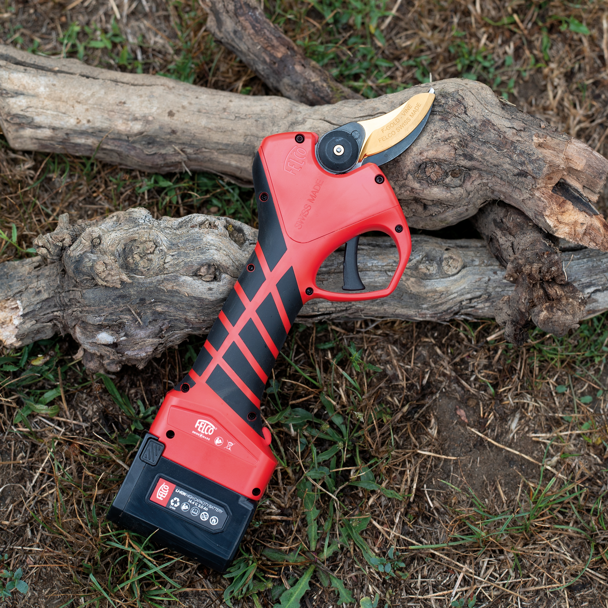 PRUNING_F-PRUNER-834 3 PRUNING_F-PRUNER-834 3