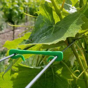 Biodegradable 2" Clip