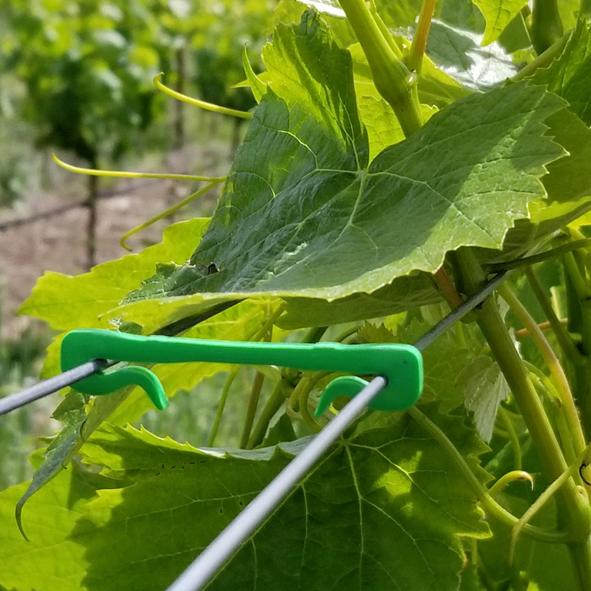 CLIPS_BIOGREEN2IN-SQR