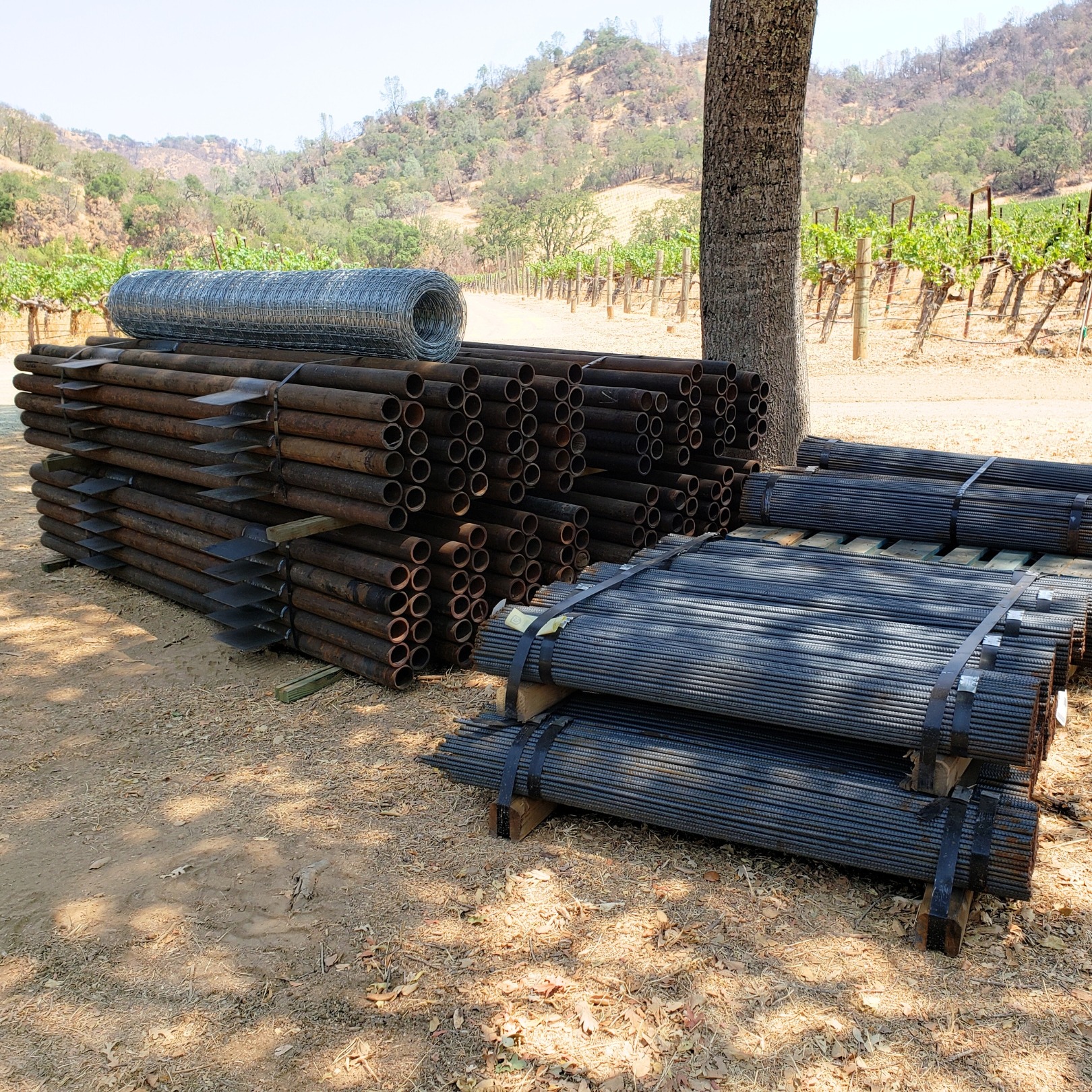 20210817_123736_EDITED_SQR