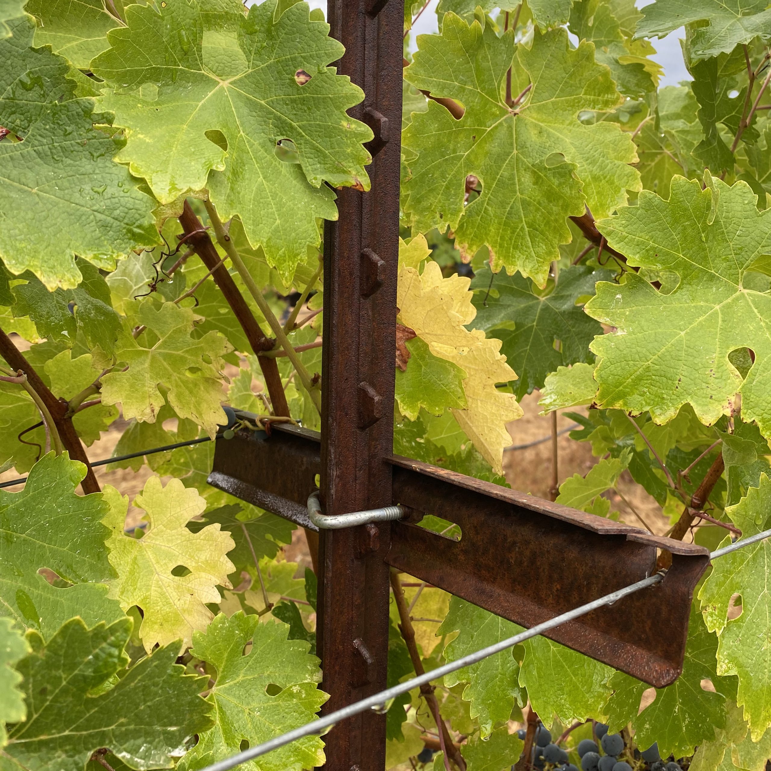 Château St Jean crossarm and Ubolt_SQR